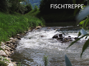 Fischtreppe37502